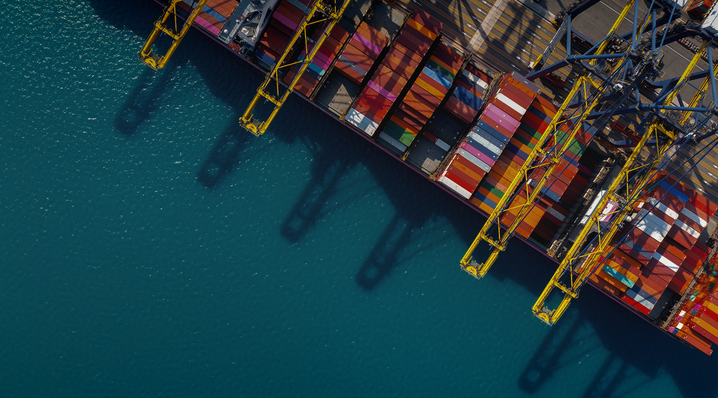 NestWay Logistics - Cargo ships and containers in UAE port